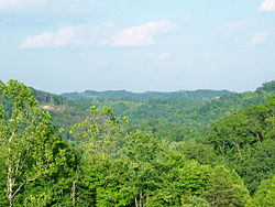 Mountaintop view of Tutor Key