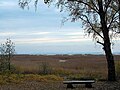 Vue depuis la réserve jusqu'au golfe de Finlande