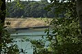 Die Derenbachbrücke (Sommer 2008)