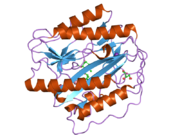 2gz5: Human Type 1 methionine aminopeptidase in complex with ovalicin at 1.1 Ang