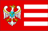 Vlag van Gniezno