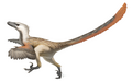 Velociraptor spodno-křídový teropod