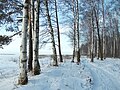 Dans la réserve en hiver