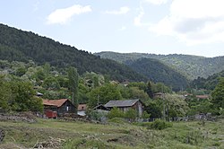 View of the village