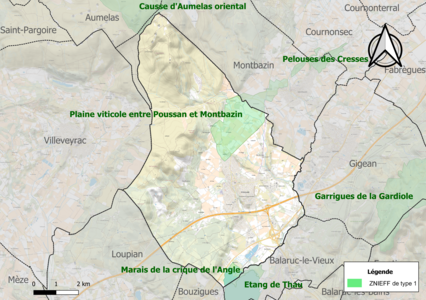 Carte des ZNIEFF de type 1 sur la commune.