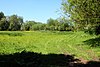 Wolvercote Meadows