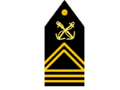 Capona de brigadier de la Armada Bolivariana de Venezuela