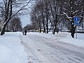 La rue Merimetsa entre l'hippodrome de Tallinn et l'hôpital de psychoneurologie.