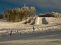 Kuutsemägi, the highest point in Valga County (217 meters)