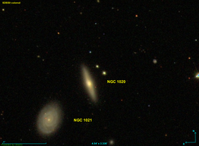 Image illustrative de l’article NGC 1020