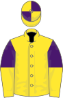 Yellow, purple halved sleeves, quartered cap