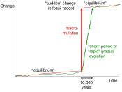 Alternative explanations of punctuated equilibrium