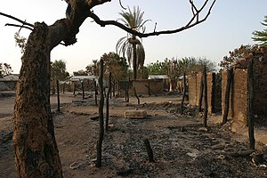 Birao after being burnt down during a battle of the Central African civil war