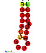 HIV-1_SD: Secondary structure taken from the Rfam database. Family RF01380