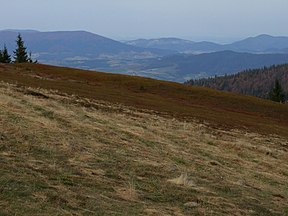 Widok w kierunku północnym na Beskid Wyspowy