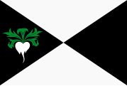 Vlag van Lokeren