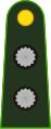 Teniente (Argentine Army)[7]