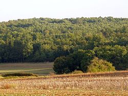 Image illustrative de l’article Forêt de Quatre Vaux