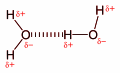 Illustration of two water molecules interacting to form a hydrogen bond