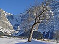 Oberer Gletscher von unterhalb Station First gesehen