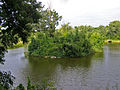 Island in Kaharlyk park