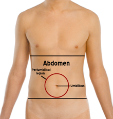 Abdomen-periumbilical region.png