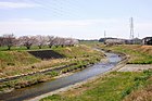 逢妻女川 （本田町、2019年（平成31年）4月）