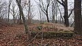 Mauerreste unbekannter Entstehungszeit, Blick westlich über die höchste Ebene der Hauptburg, im Hintergrund Weistropp, 2018