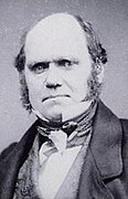 Charles Darwin (1809-1882). Naturalista inglés. Propuso la teoría de la evolución basada en la selección natural.