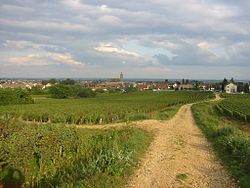 Skyline of Marsannay-la-Côte