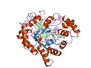 2fzb: Human Aldose Reductase complexed with four tolrestat molecules at 1.5 A resolution.