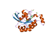 2gcn: Crystal structure of the human RhoC-GDP complex