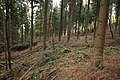 Wallburg Kahle, Erster Wall im Südwesten