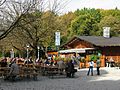 Hopfengarten im Oktober