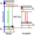 Thumbnail for Förster resonance energy transfer