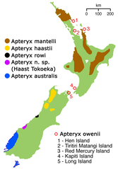 Mapa występowania