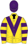 Yellow, purple chevron, hooped sleeves, purple cap