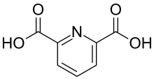 Pyridine-2,6-dicarboxylic acid 200.svg