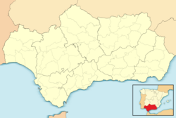 Lucena di Andalusia