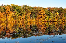 Huron River, Ann Arbor