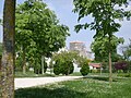 L'église Saint-Étienne, vue du parc