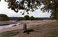 Desembocadura del río Perales en el Alberche, en Aldea del Fresno (Madrid)