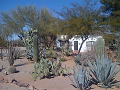 Le White Stallion Ranch à Tucson ( Arizona, États-Unis )