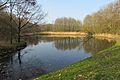 Naturnahe Gestaltung des Regenrückhaltebeckens