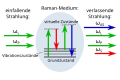 CARS Raman Spectroscopy