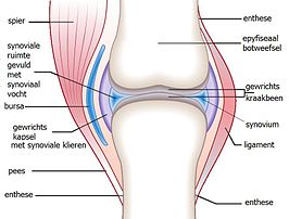 Synoviale vloeistof