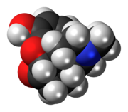 Space-filling model of hydromorphone