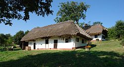 Two white houses with overhanging thatched roofs.