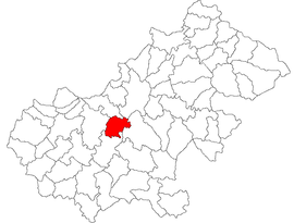 Location in Satu Mare County