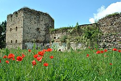 Remains of the 16th-17th century Zolotyi Potik Castle.